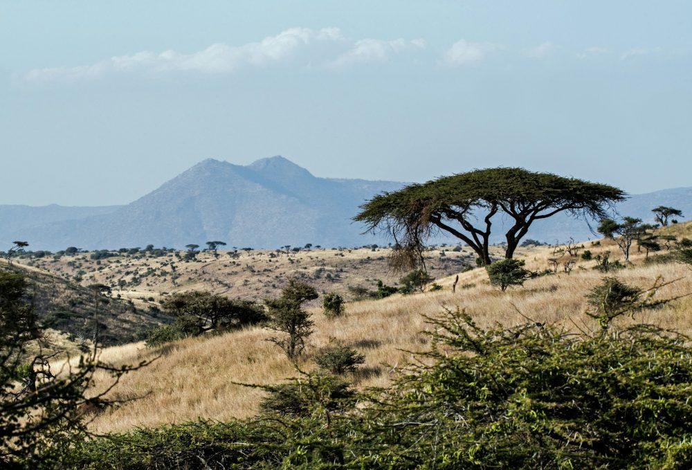 Africa