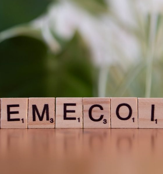 meme coins