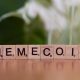 meme coins