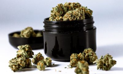 hemp