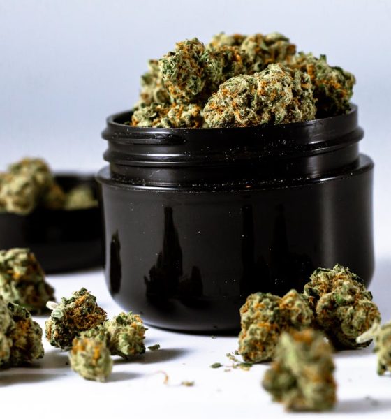 hemp