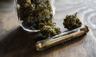 cannabis