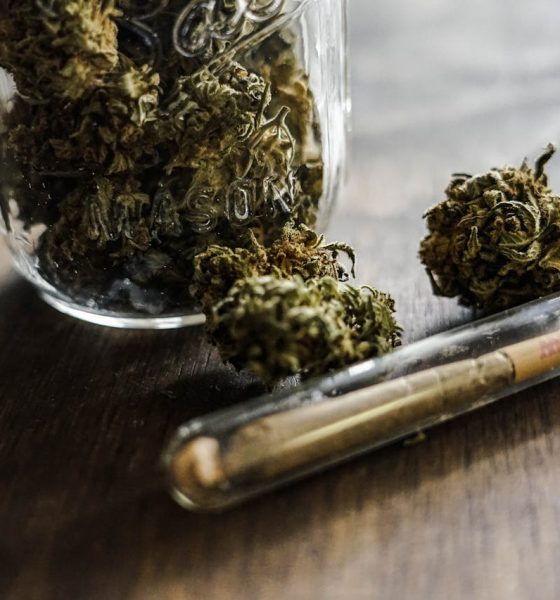 cannabis