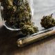 cannabis