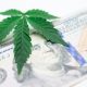 Canopy Growth
