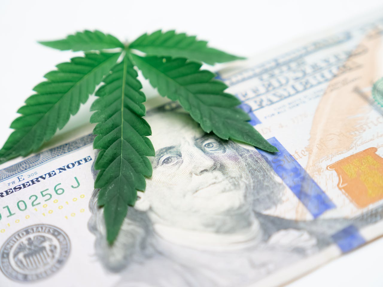 Canopy Growth
