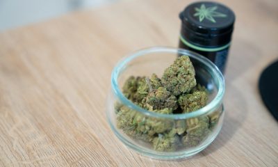 cannabis