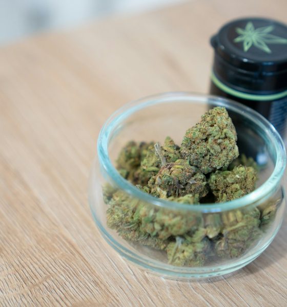 cannabis