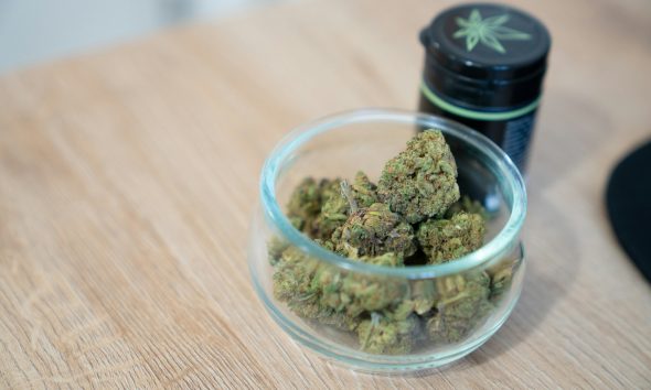 cannabis