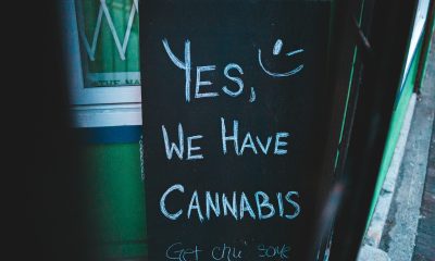cannabis