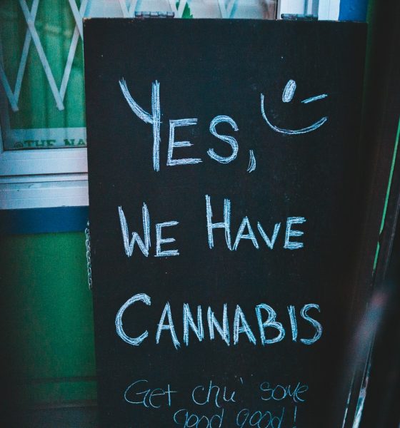 cannabis