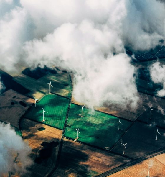 sustainable investments