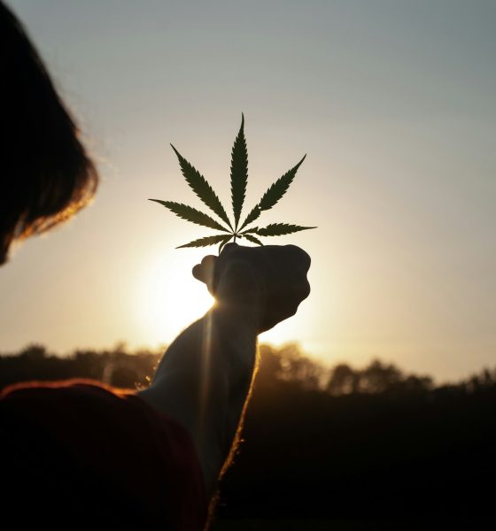 U.S. Cannabis Reclassification: What It Could Mean for Industry Players