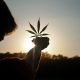 U.S. Cannabis Reclassification: What It Could Mean for Industry Players