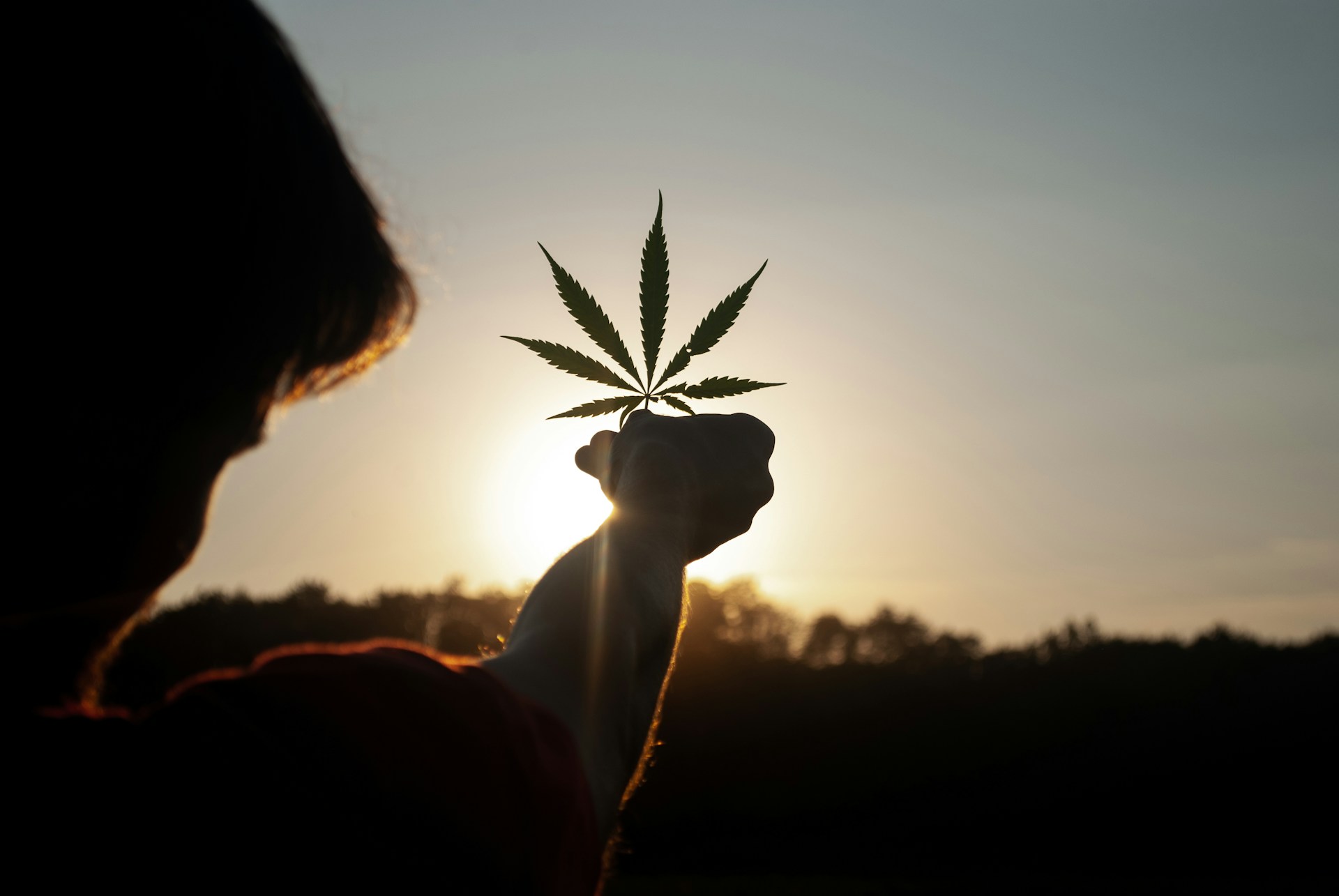 U.S. Cannabis Reclassification: What It Could Mean for Industry Players