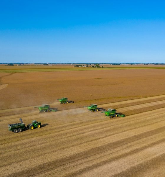 Commodity Futures Markets Struggle Under Weight of Strong Harvests and Global Uncertainty