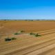 Commodity Futures Markets Struggle Under Weight of Strong Harvests and Global Uncertainty