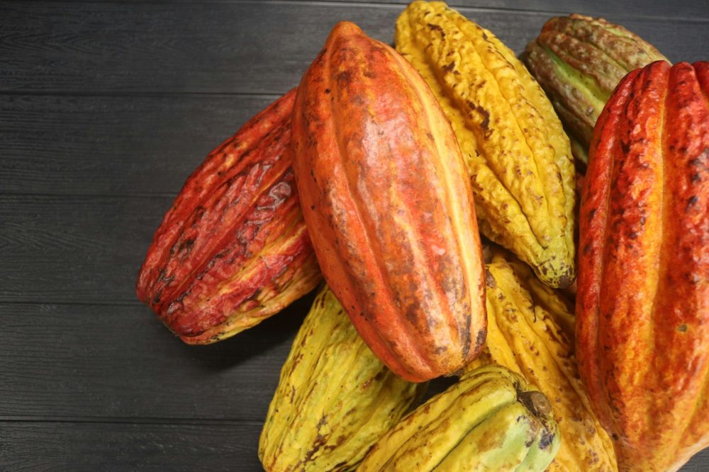 cocoa