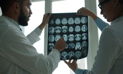 brain