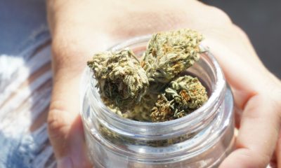 cannabis prescriptions