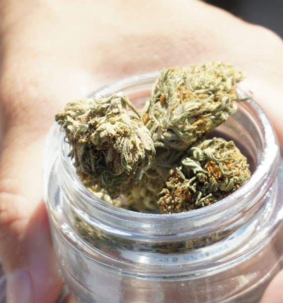 cannabis prescriptions