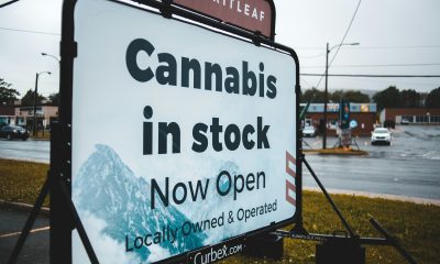 cannabis clubs