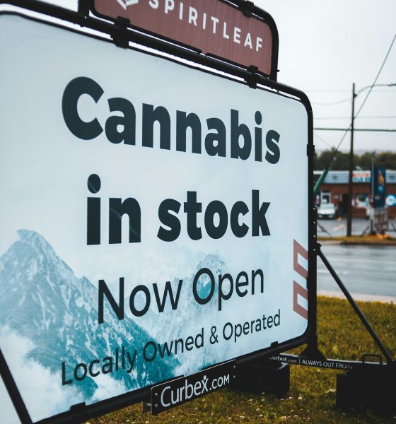 cannabis clubs