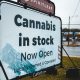 cannabis clubs