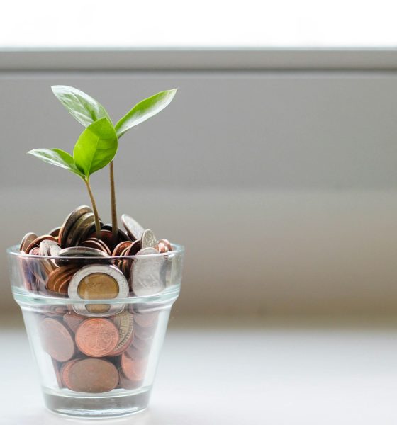 sustainable finance