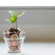 sustainable finance