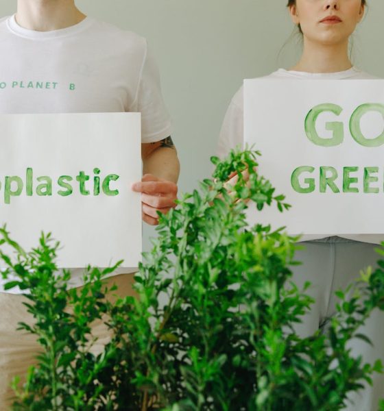 sustainability