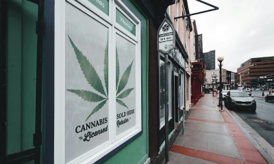 cannabis