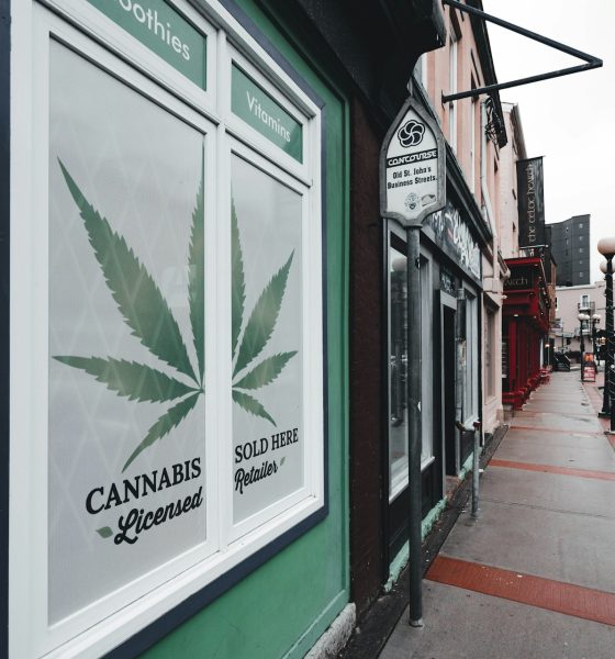 cannabis