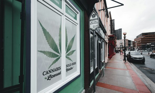 cannabis