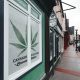 cannabis