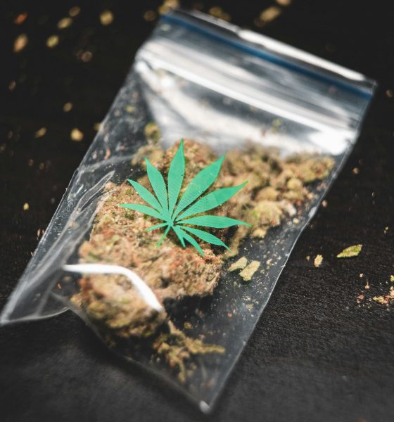 cannabis