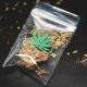 cannabis