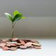 sustainable funds