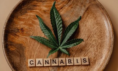 cannabis