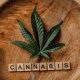 cannabis