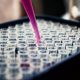 TG therapeutics