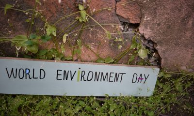 World Environment Day