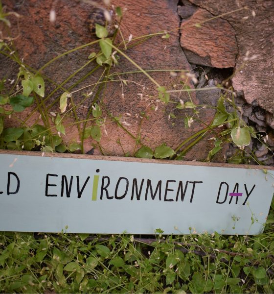World Environment Day