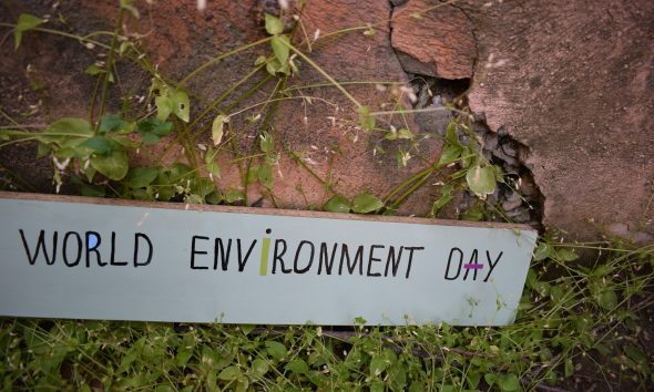 World Environment Day