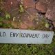 World Environment Day