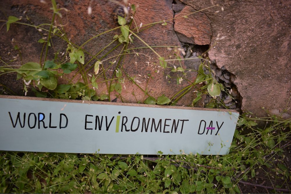 World Environment Day