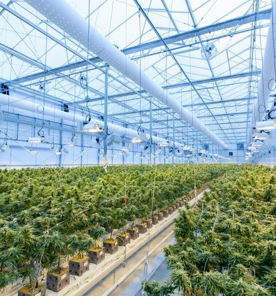 Tilray
