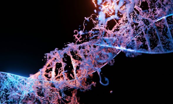 gene therapies