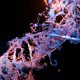 gene therapies