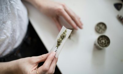 cannabis
